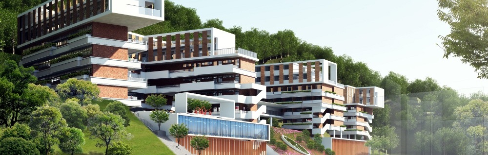 深圳市桃源居中澳实验学校